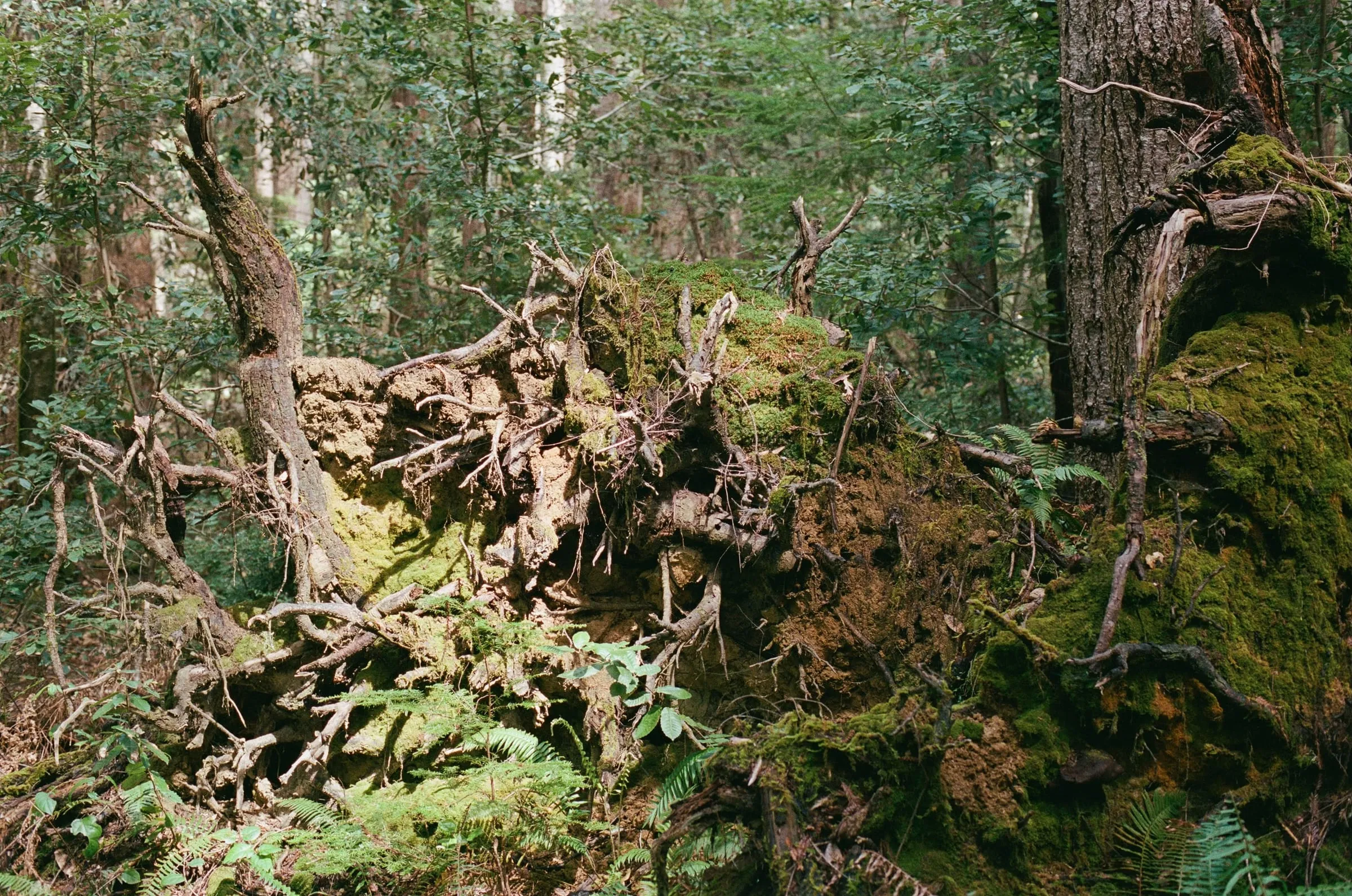 Journal photo
