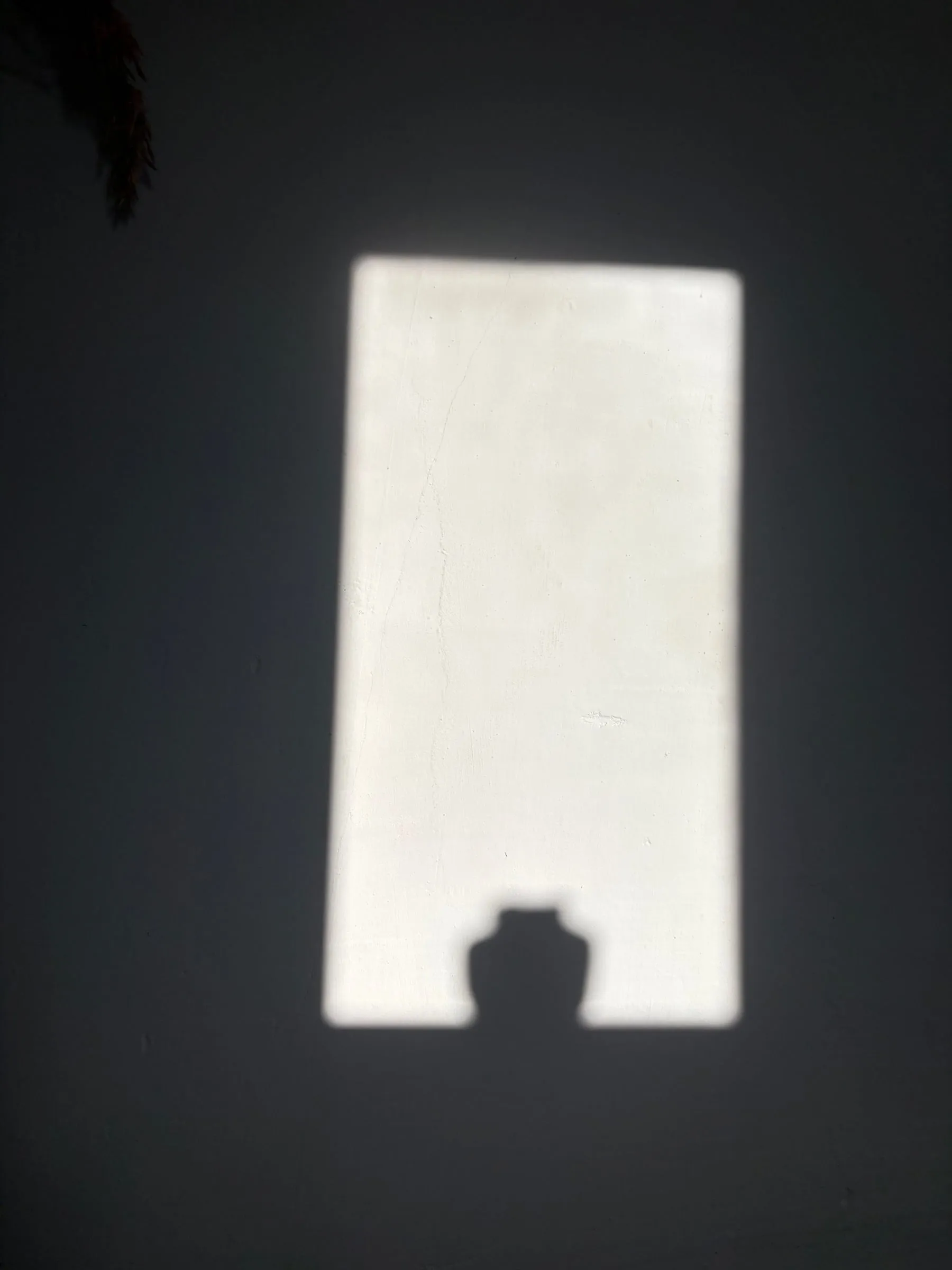 Journal photo