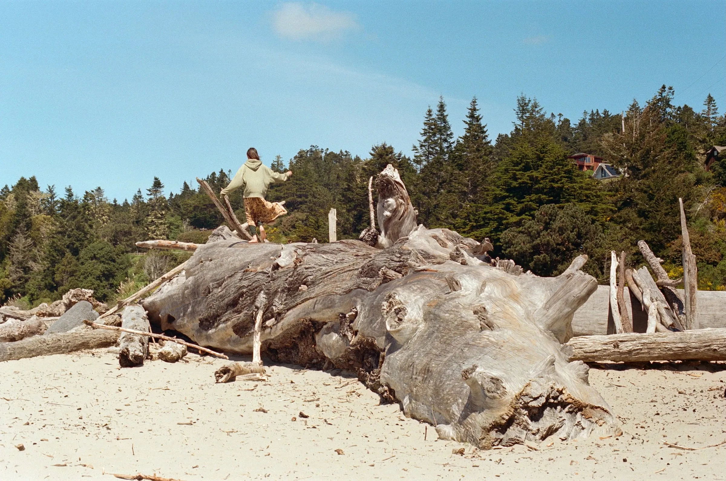 Journal photo